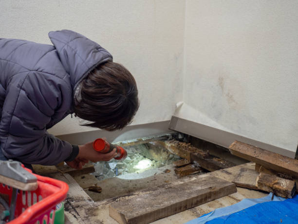 Best Biohazard Mold Removal  in Oakland, OR