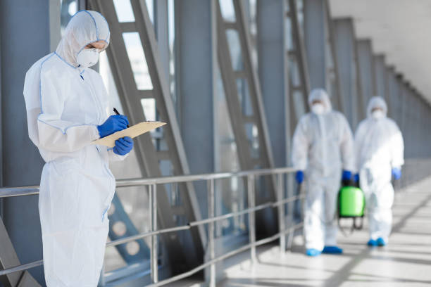 Trusted Oakland, OR Mold Removal Experts