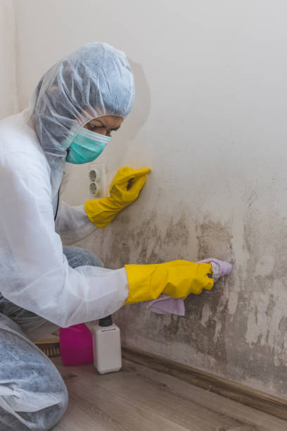 Best Commercial Mold Inspection  in Oakland, OR