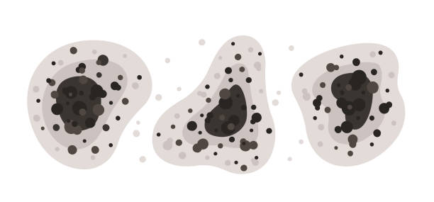 Best Forensic Mold Investigation  in Oakland, OR