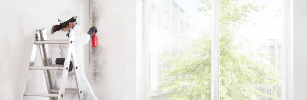 Best Post-Remediation Verification Testing  in Oakland, OR
