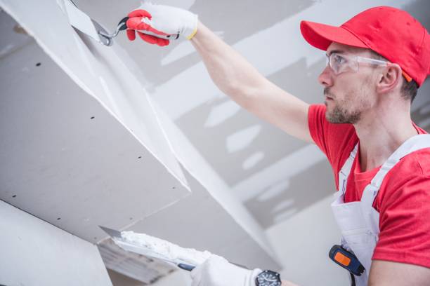 Best Environmental Consulting for Mold Prevention  in Oakland, OR